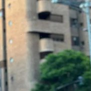 ������, 37 ���, ����������