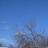 �������., 50 ���, ������