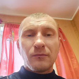 ����, ������, 40 ���