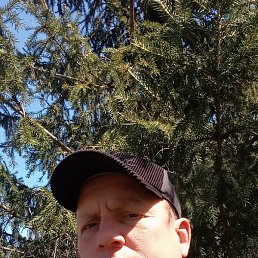 ������, �������, 41 ���