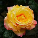 ���� Aleksandr, �����������, 64 ���� - ��������� 27 ���� 2025 � ������ ������ ��������
