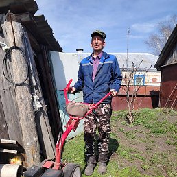 ����, ������, 50 ���