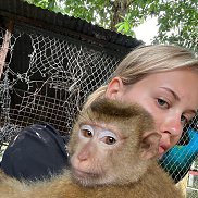 ��� ���������, , ����������