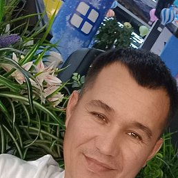 , 39, 