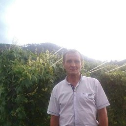 , 51 , -