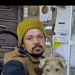 ���� �����, ���������, 40 ��� - ��������� 21 ������ 2023