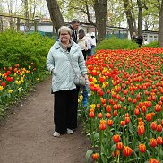 ����, , �����-���������