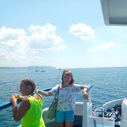 ������, , ����������