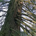 ���� Alexander, ������, 62 ���� - ��������� 1 ������� 2023 � ������ �������