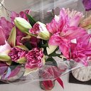 ���� ���������, �����������, 35 ��� - ��������� 23 ������ 2026 � ������ ���� ����������