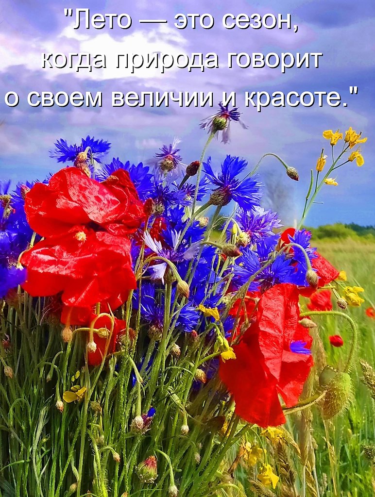 �������� ������ - 10 ���� 2026 � 14:26
