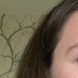 ��������, �����-���������, 29 ���