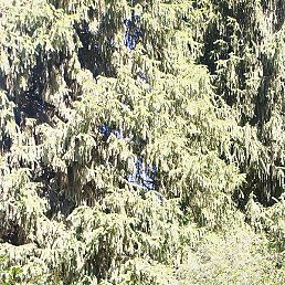 �������, ������, 53 ����