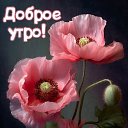 ���� �������, ������ - ��������� 30 ���� 2024