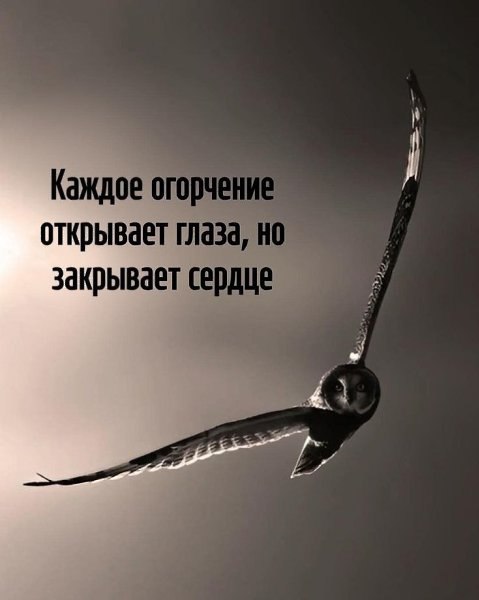������� � �������... "������� ����" <a href=