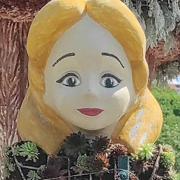 �����, ��������, 24 ����