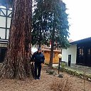 ���� Mitko, �����, 68 ��� - ��������� 4 ������� 2025 � ������ ���� ����������