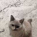 ���� ������, ������������, 52 ���� - ��������� 3 ������� 2023 � ������ ���� ����������