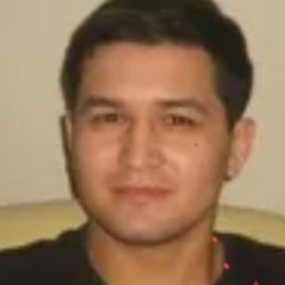 Umid, �������, 50 ���