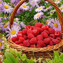 ���� �����, ������� - ��������� 13 ������ 2025 � ������ ������ ��������