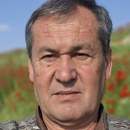 �����, �������, 55 ���