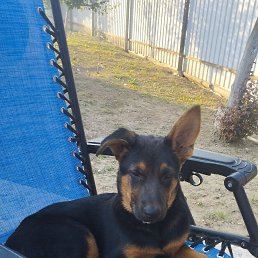 ���� ������, �������, 49 ��� - ��������� 14 ������� 2024