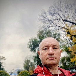 , 51,  