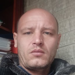 ������, �����������, 41 ���