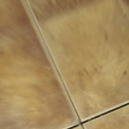 ���, ����, 84 ����