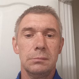 �����, �������, 41 ���