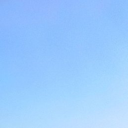 �����, �������, 37 ���