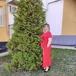 ���� �����, ���������, 54 ���� - ��������� 18 ��� 2026