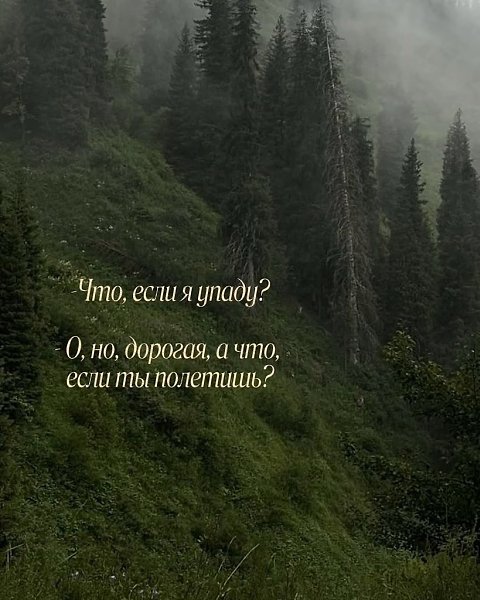       - 14  2025  20:15 - 10