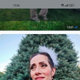 , 43, 