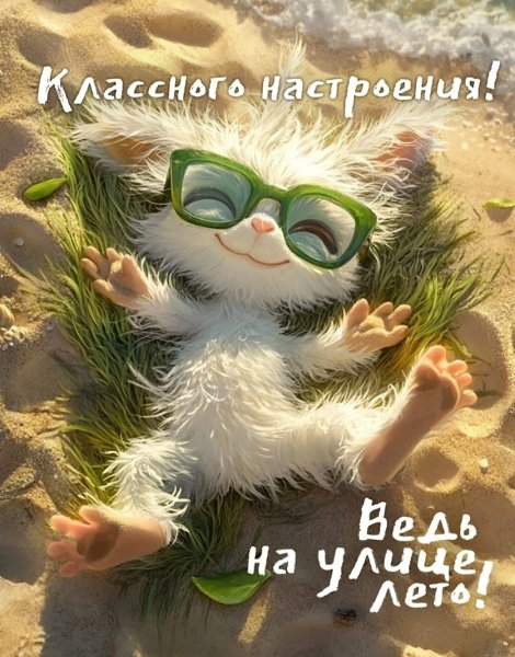 *T���* - 12 ������� 2025 � 15:23