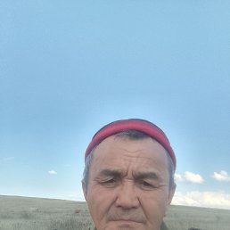 �����, 54 ����, ���������