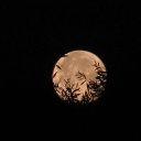 The mysterious moon �� ������� ���� ����������