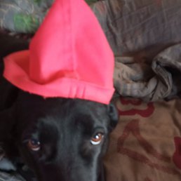 ���� ����� ��������, ������, 38 ��� - ��������� 6 ���� 2024