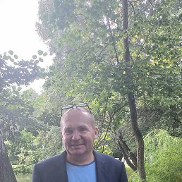 ������, ���������, 46 ���