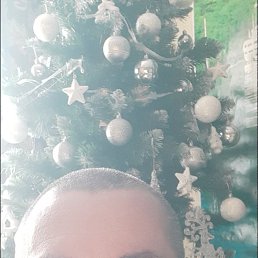 �������, 33 ����, �������