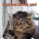 ���� �������, �����, 47 ��� - ��������� 23 ������ 2024 � ������ ���� ����������