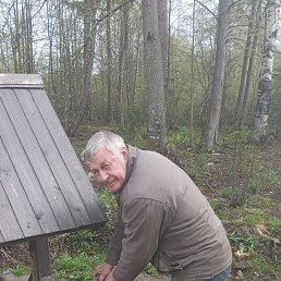 �������� ������, 65 ���, �������