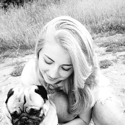 ����, �������, 41 ���