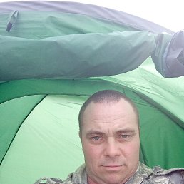 ������, 41 ���, �������