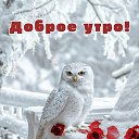 ���� ������, ����������� - ��������� 26 ������� 2025 � ������ ������ ��������