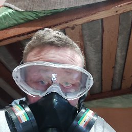 ����, �����-���������, 36 ���