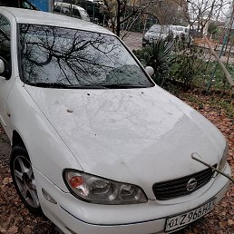 ���� ����, �������, 61 ��� - ��������� 22 ������� 2025