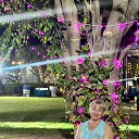 ���� ����, ������ - ��������� 7 ���� 2026