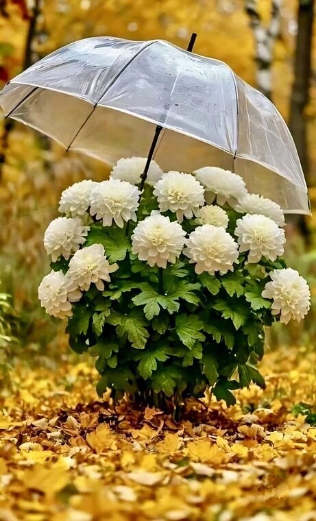 Прекрасно6о всем настроения!)