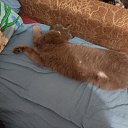 ���� ������, ��������, 42 ���� - ��������� 24 ������� 2026 � ������ ���� ����������